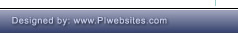 Professional, affordable web site design and hosting for investigators